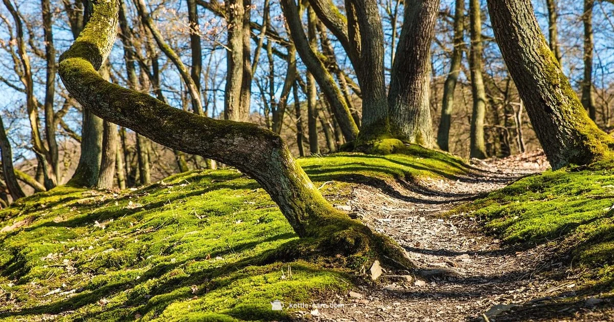Kettle Moraine Hike - Kettle Care