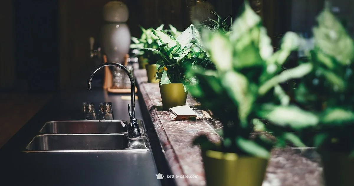 Limescale Free Kettle - Kettle Care
