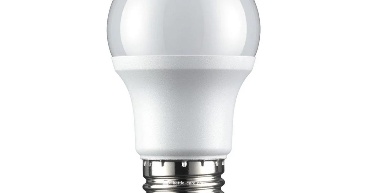 Best Water Kettle 2026 - Kettle Care