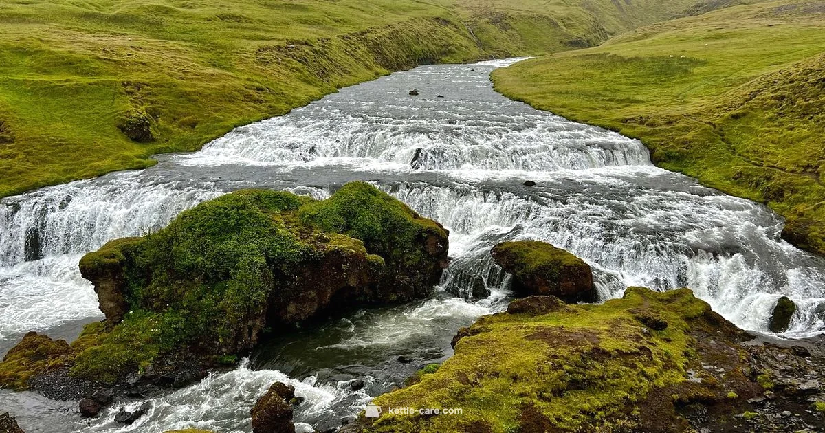 Kettle Hole Basics - Kettle Care