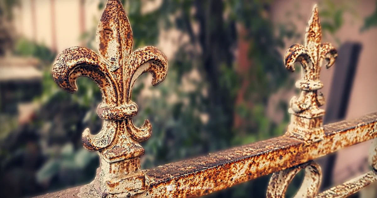 Rust Removal Guide - Kettle Care