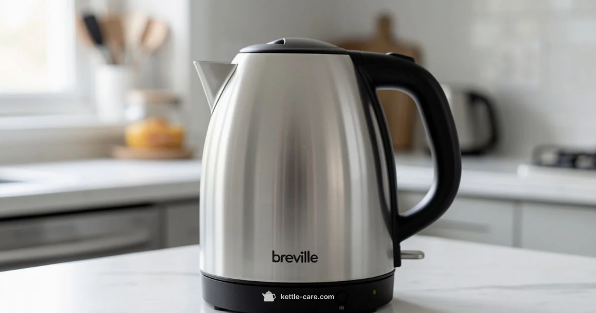 Efficient Kettle Care