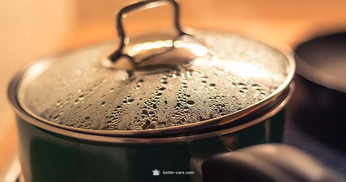 Boiling Cues - Kettle Care