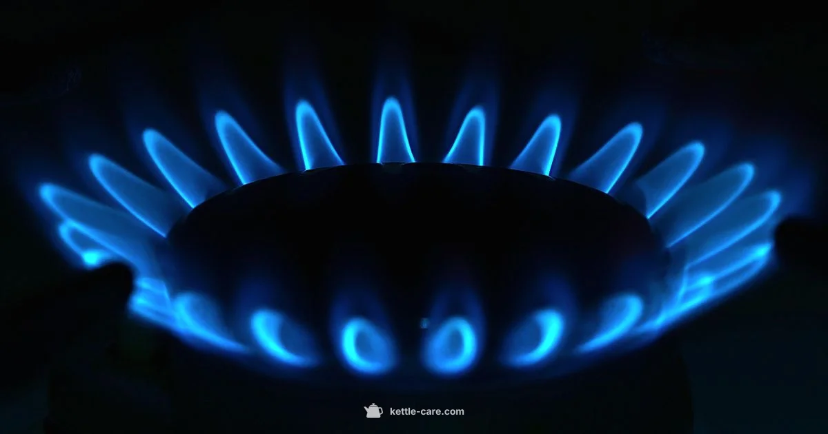 Gas Kettle Picks - Kettle Care