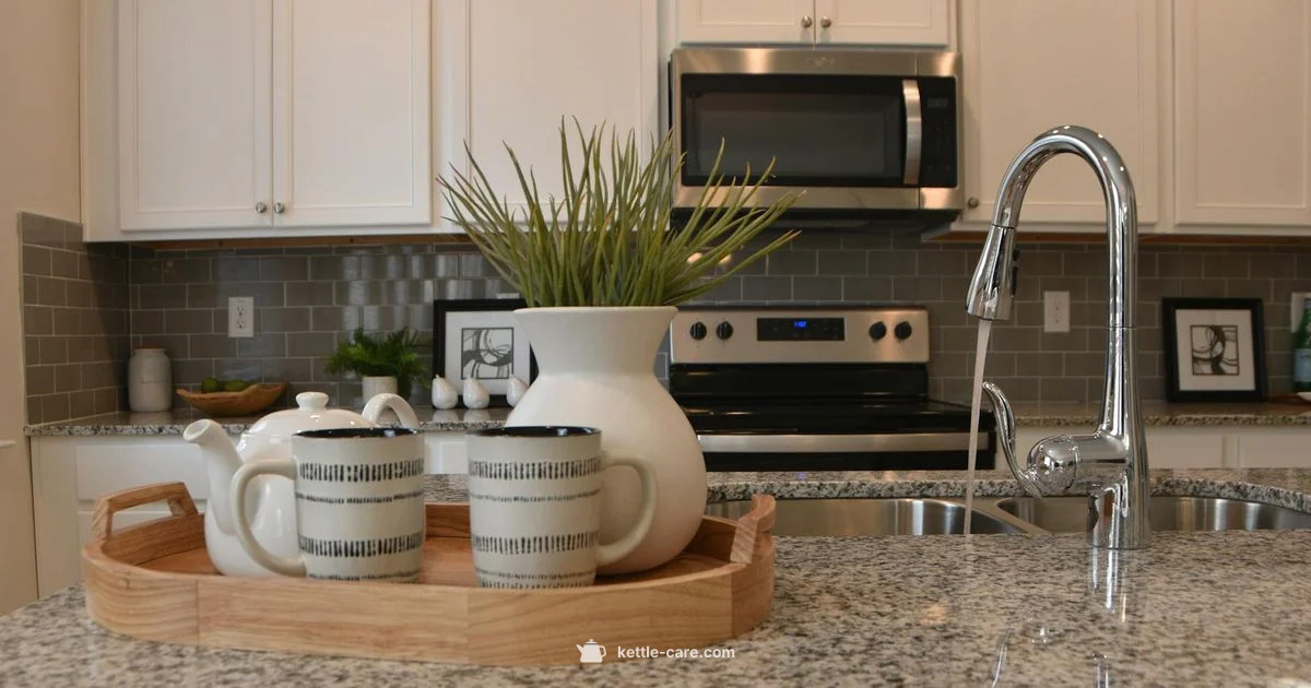 Perfectemp Guide Perfectemp Guide - Kettle Care