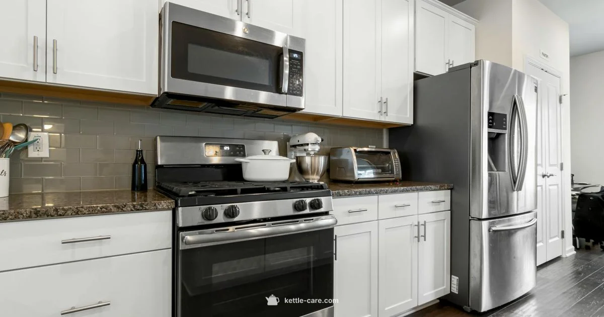 Corvo EKG Review - Kettle Care