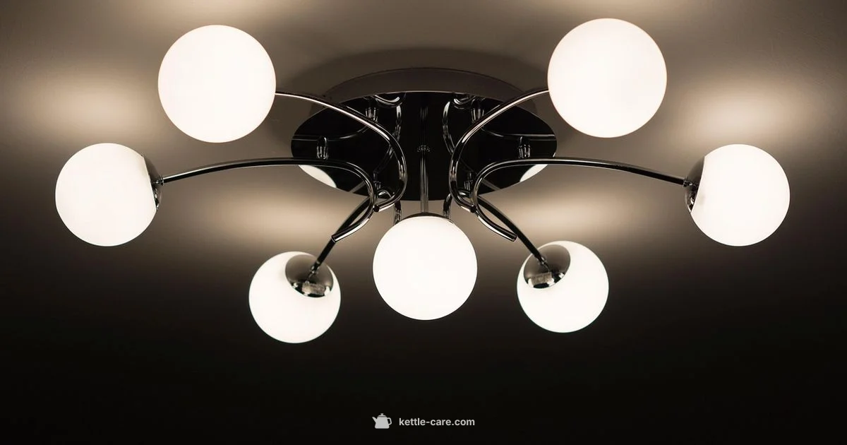 Kettle Choice Guide - Kettle Care