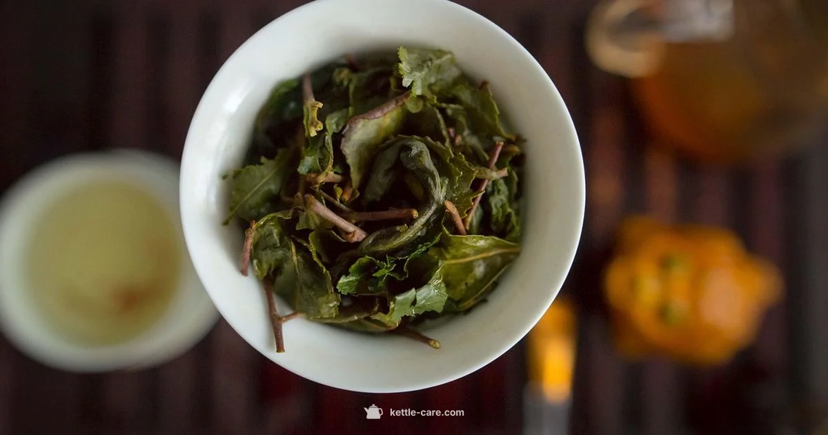 White Electric Tea Kettle Guide - Kettle Care