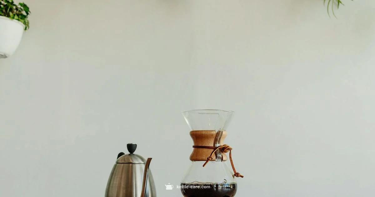 Bonavita Kettle Guide - Kettle Care