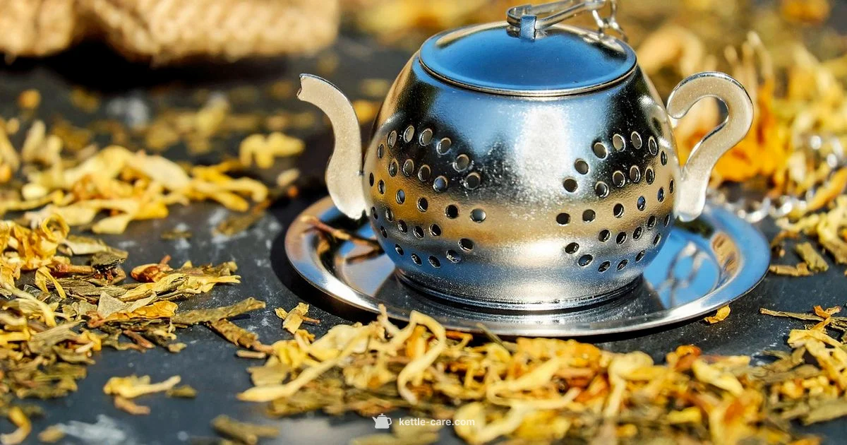 Kettle Price Guide - Kettle Care