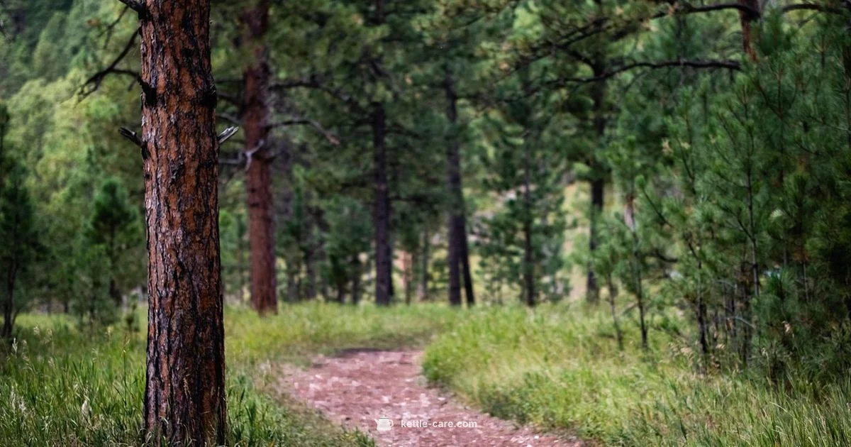 Kettle Moraine Guide - Kettle Care