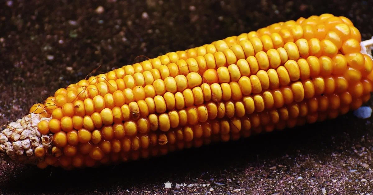 Kettle Corn Creations - Kettle Care