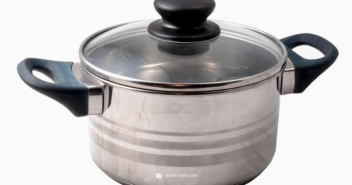 Healthier Kettle Choice - Kettle Care