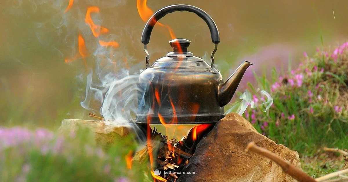 Pa and Ma Kettle - Kettle Care