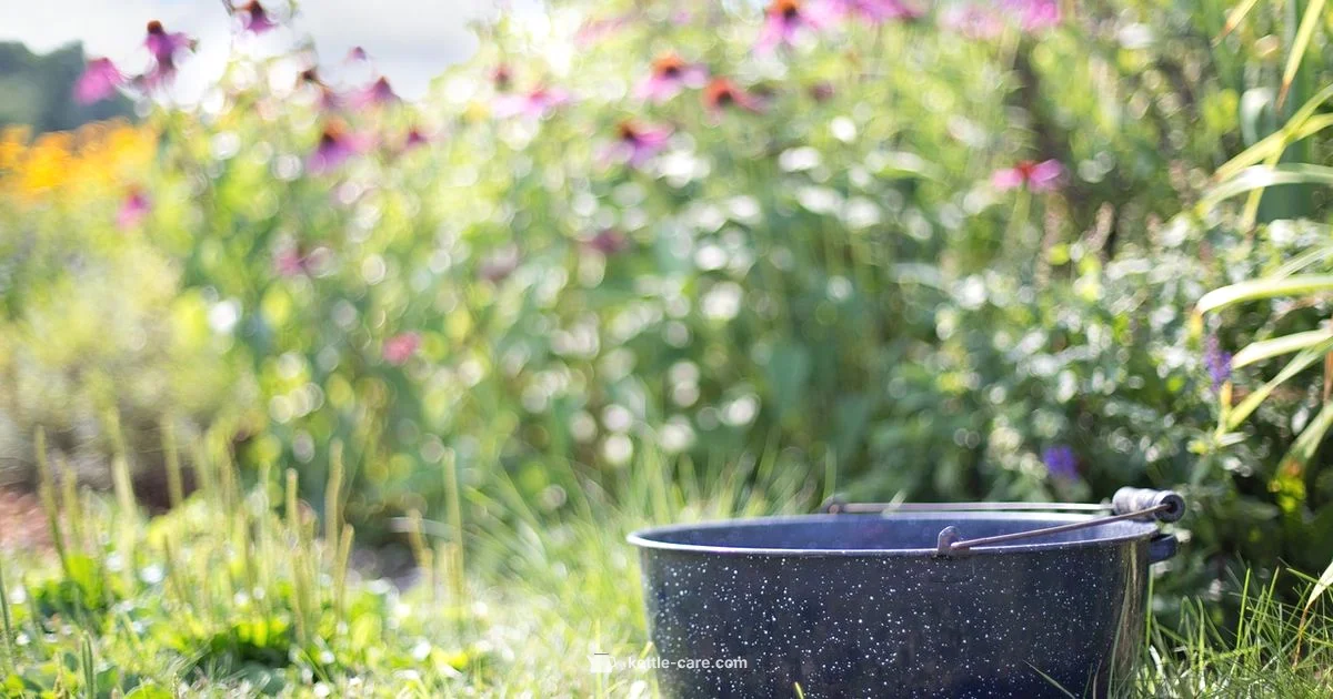 Whistling Kettle Guide - Kettle Care