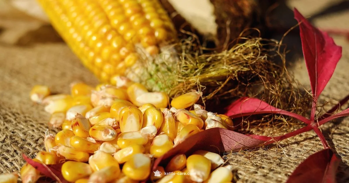 Kettle Corn Origins - Kettle Care