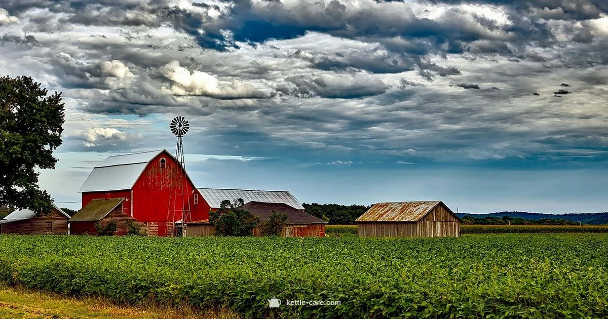 Native Garden Theme - Kettle Care