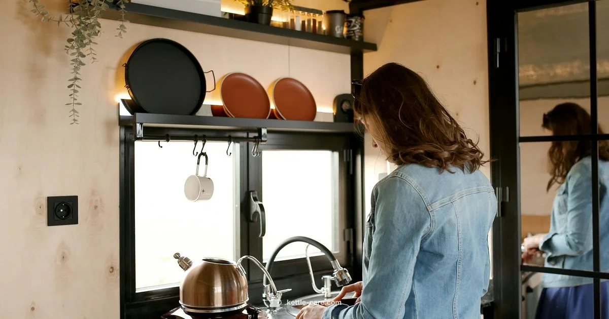 Kettle Troubleshooting - Kettle Care