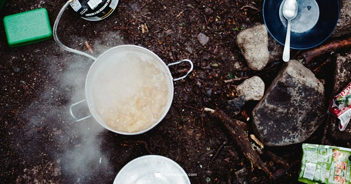 Broken Kettle Fix - Kettle Care