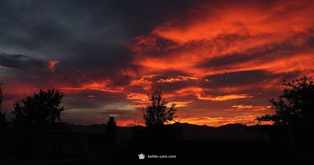 Weber Kettle Picks - Kettle Care