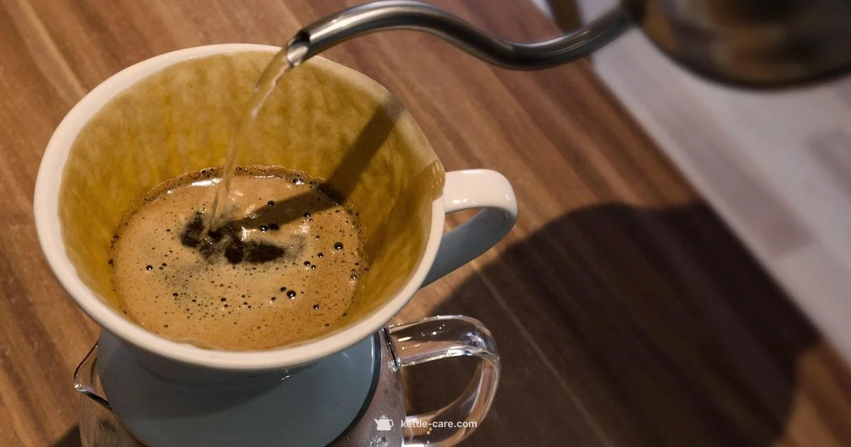 Spout Filter Fit - Kettle Care