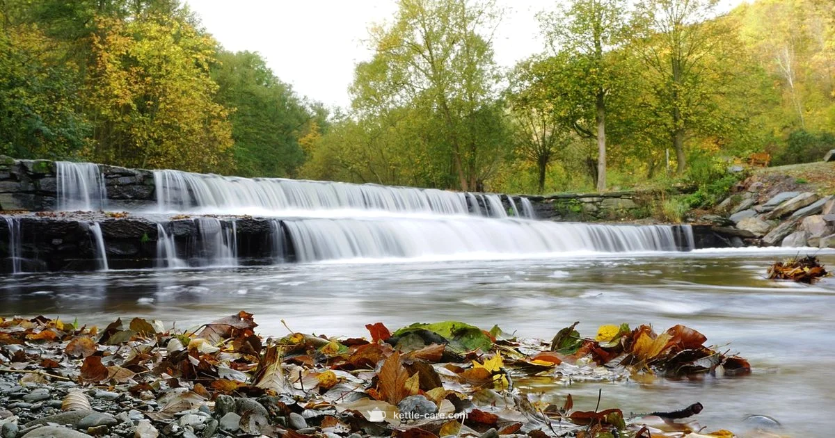 Kettle Falls - Kettle Care