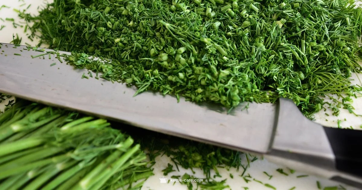 Breville Green Kettle Guide - Kettle Care