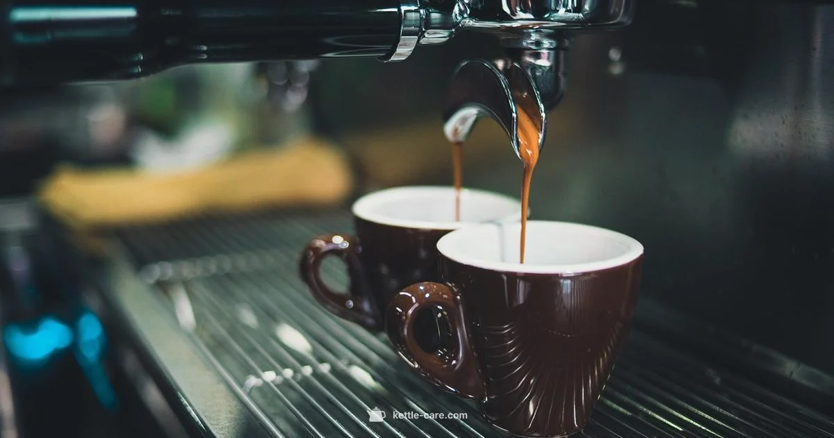 One Cup Convenience - Kettle Care