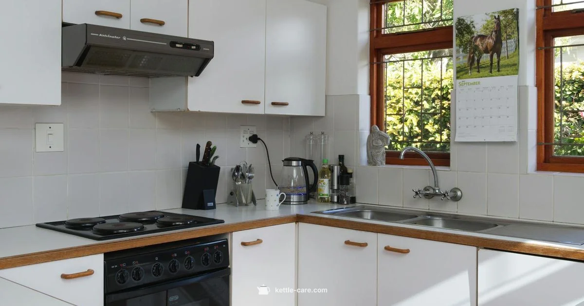 Kettle or rattler - Kettle Care