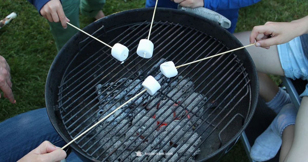 Weber Basket Guide - Kettle Care