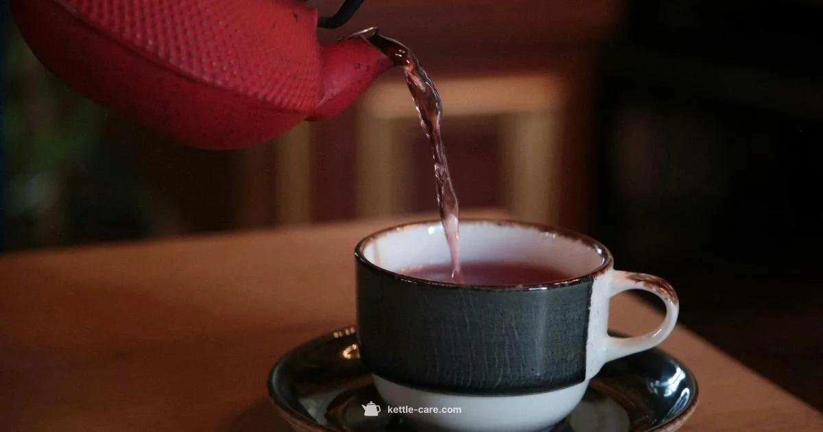 Alessi Kettle Guide - Kettle Care