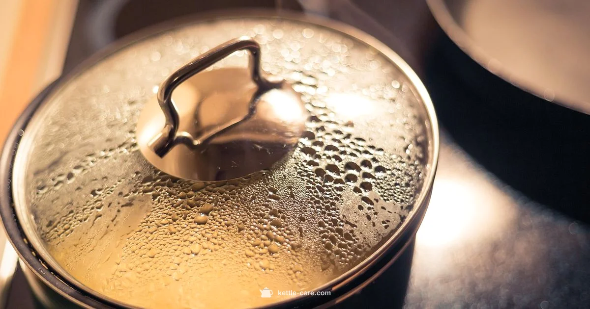 Ninja Kettle Prices - Kettle Care