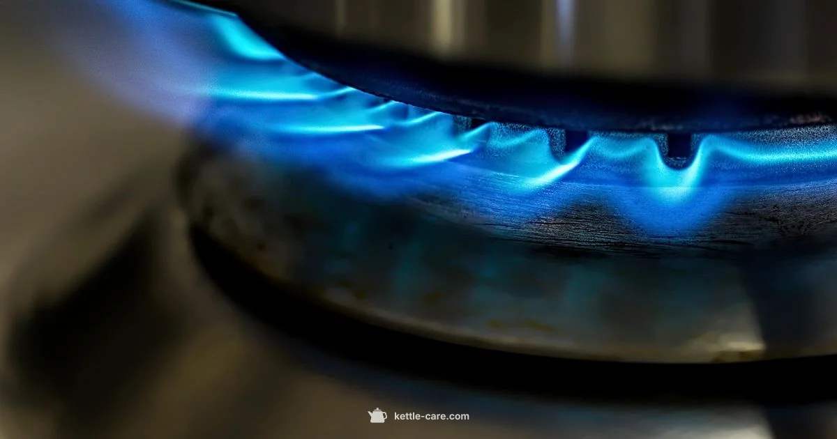 Singing Kettle Mystery Singing Kettle Mystery - Kettle Care