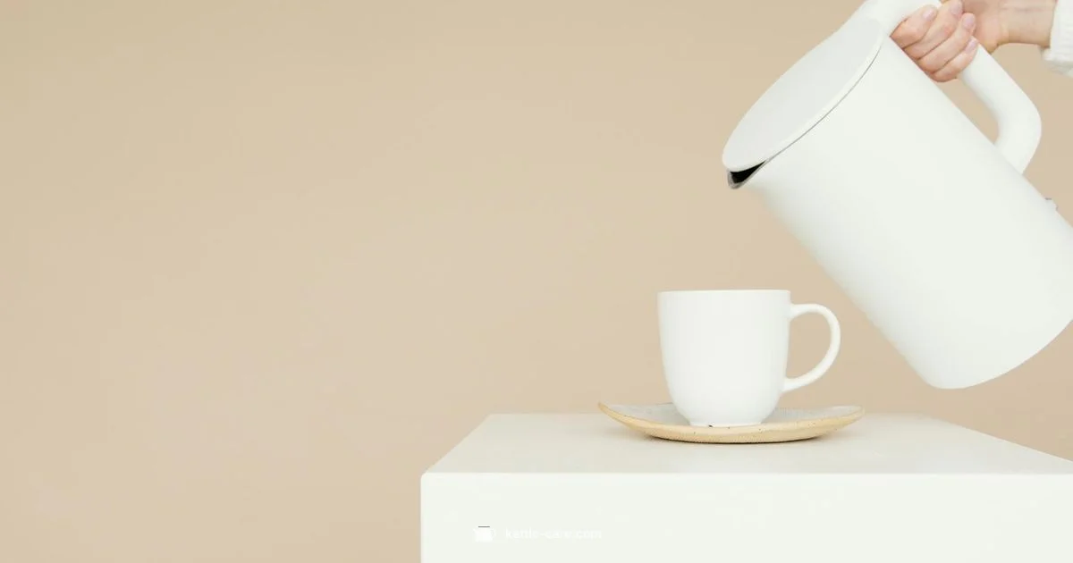 Kettle Stain Fix - Kettle Care