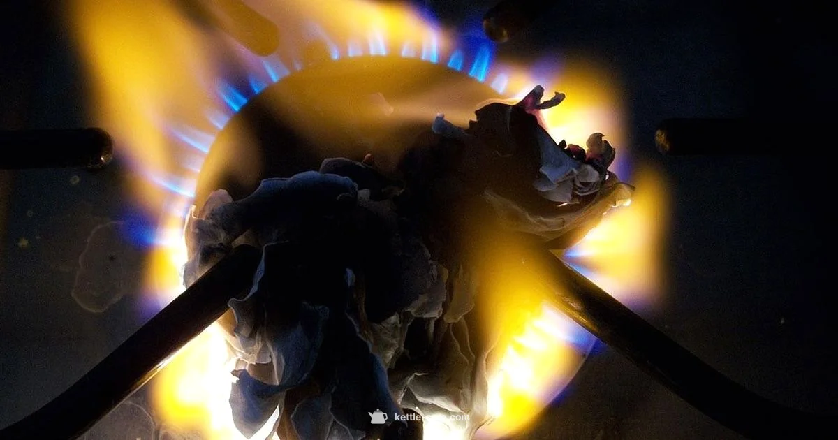 Ma Pa Kettle Cast Guide - Kettle Care