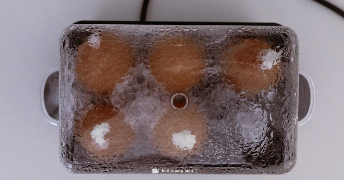 Electric Kettle Tea Guide - Kettle Care