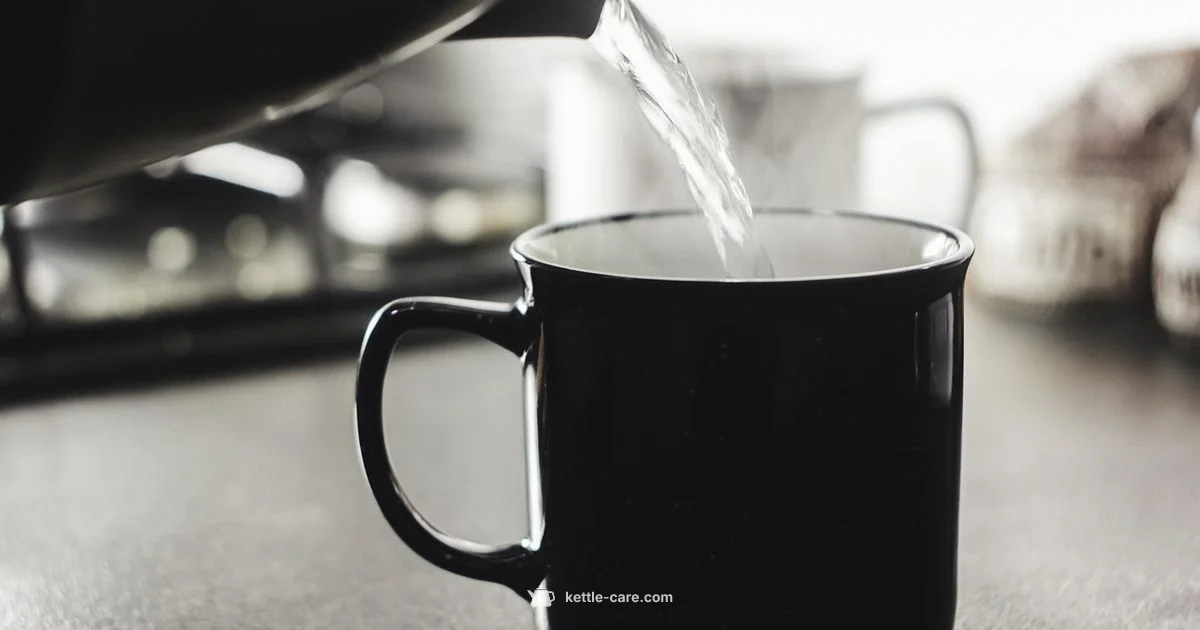 Electric Kettle Guide - Kettle Care