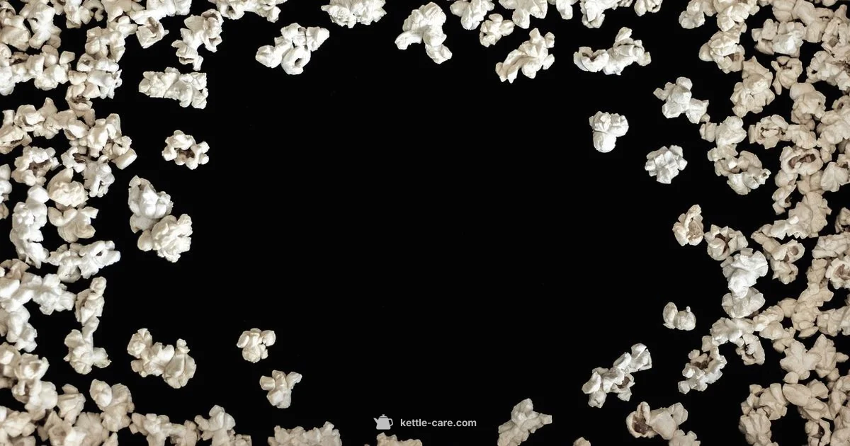 Kettle Corn Lite - Kettle Care