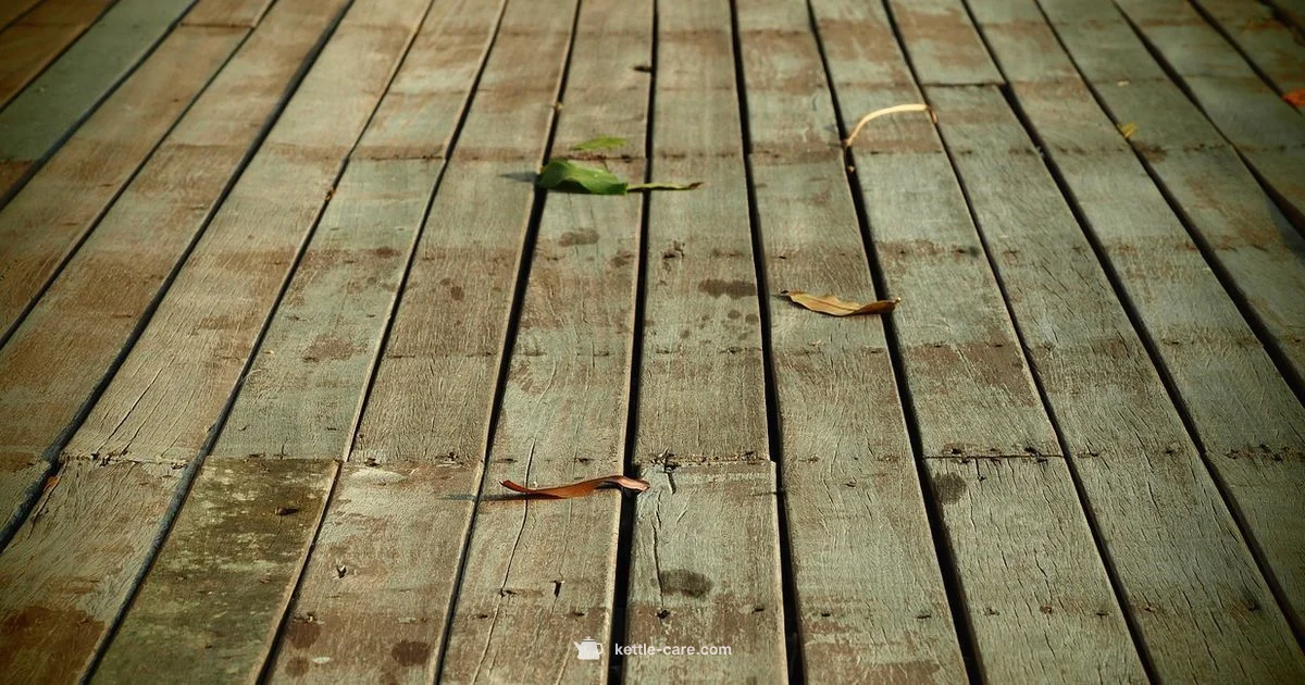 Kettlebell Name Origins - Kettle Care