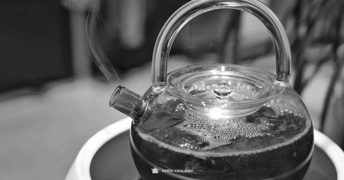 Kettle Energy 101 - Kettle Care