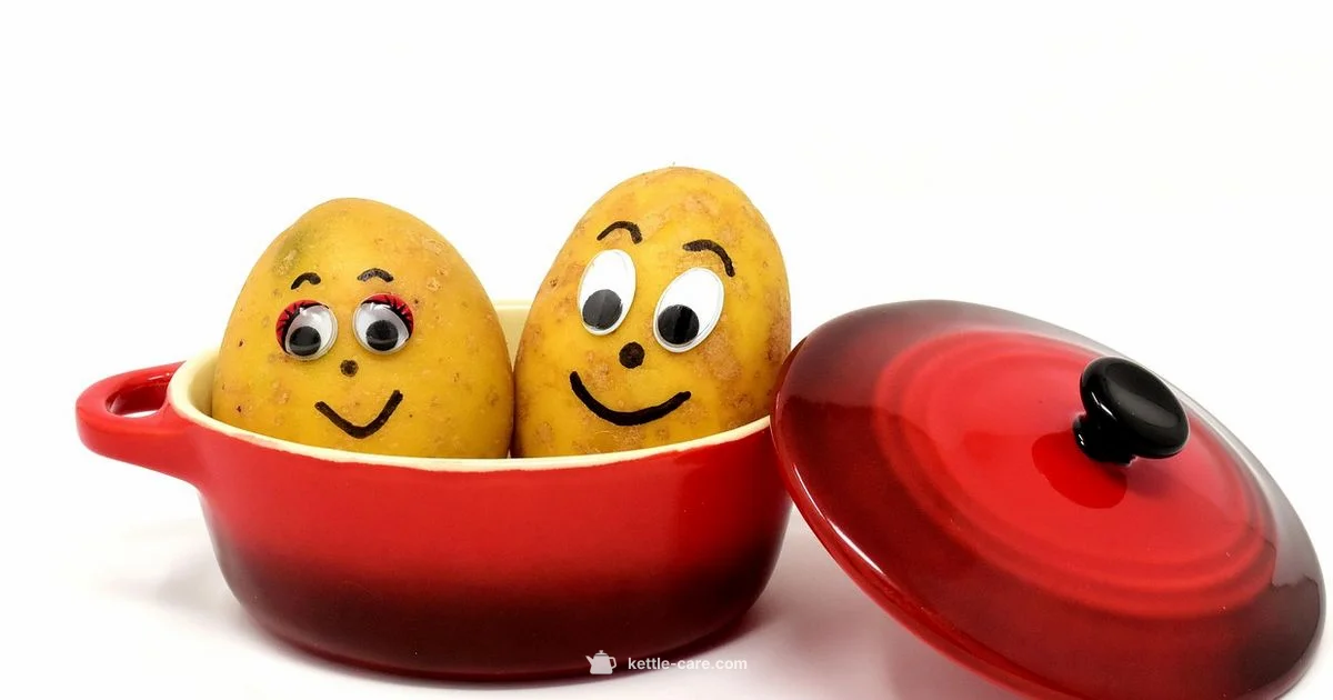 Pot Meets Kettle - Kettle Care