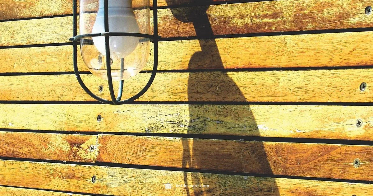 Energy-Efficient Kettle Guide - Kettle Care