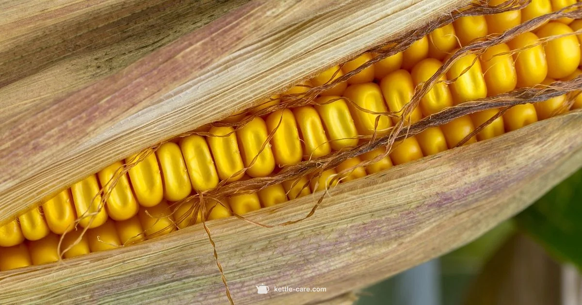 Kettle Corn Differences - Kettle Care