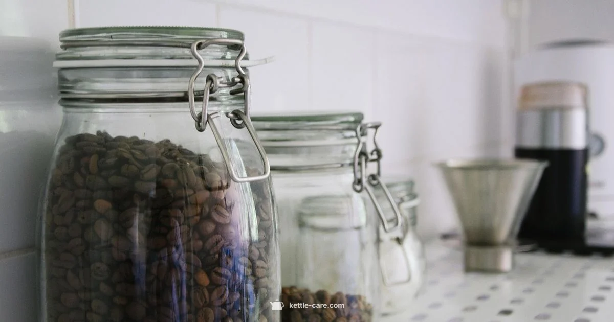 Glass Kettle Guide - Kettle Care