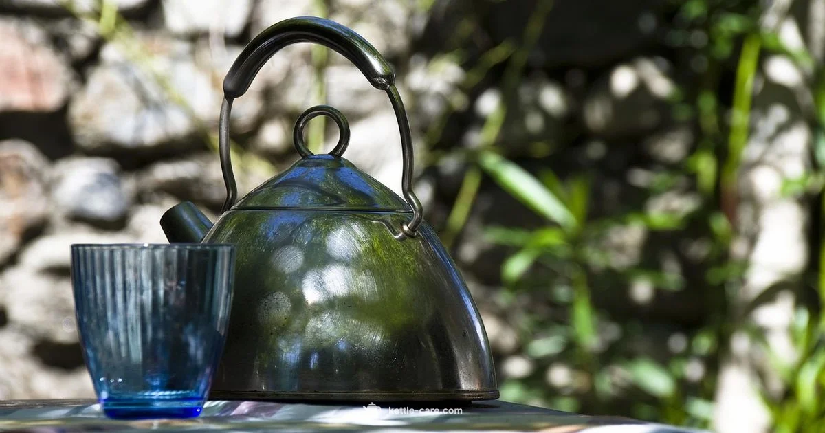 Electric Kettle Basics - Kettle Care