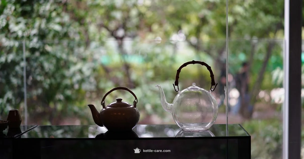 Kettle Black Meaning - Kettle Care