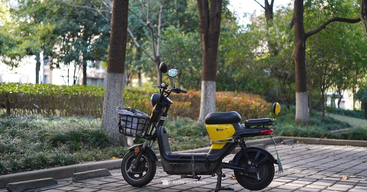 Travel Kettle Guide Travel Kettle Guide - Kettle Care