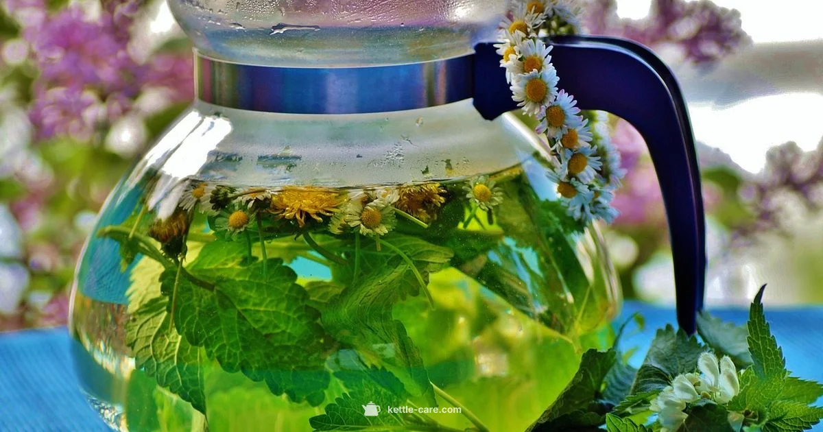 Botanical Flavor Guide - Kettle Care