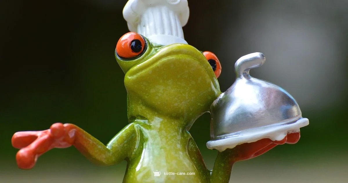 Pour Over Kettle Guide - Kettle Care