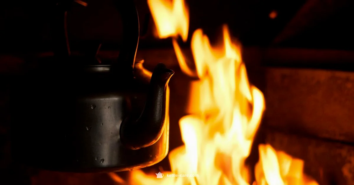 Expensive Broth Truth Expensive Broth Truth - Kettle Care